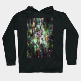 Grass Seeds Hoodie